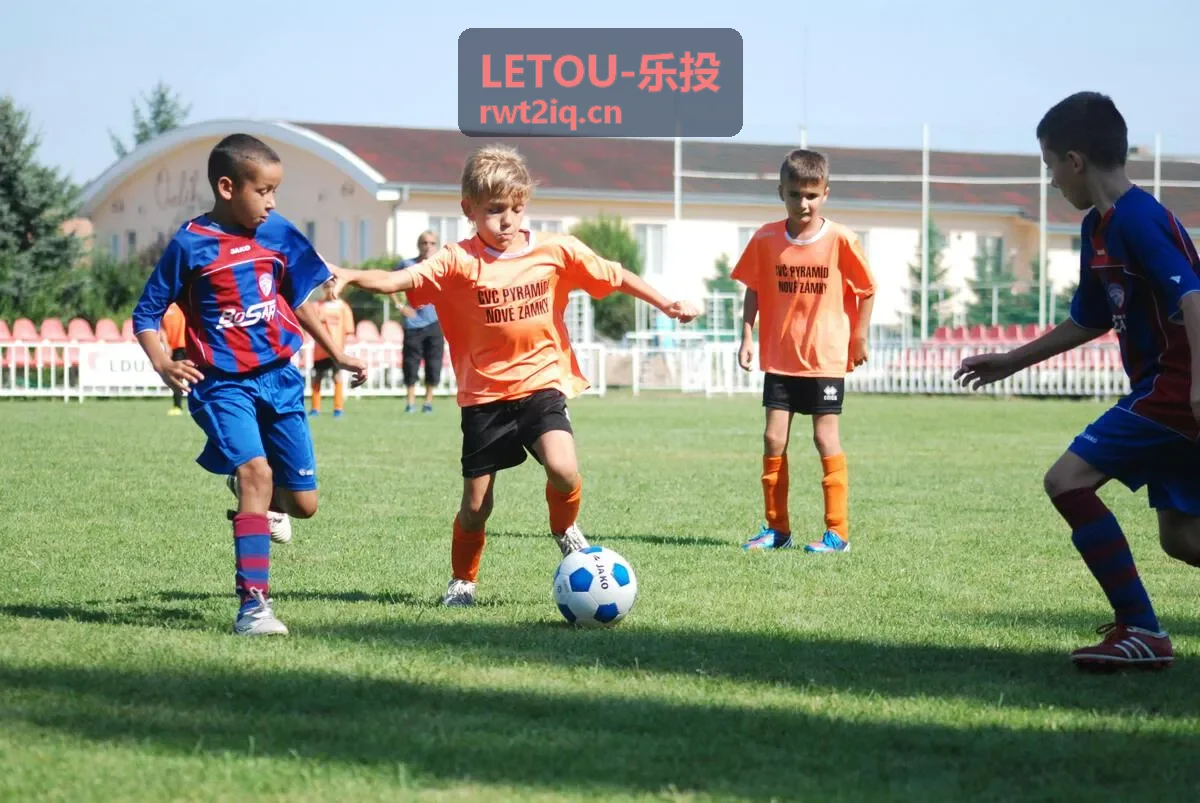 LETOU·乐投 投资决策仪表盘示意